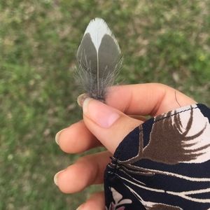 Meet your Posher, Brianna